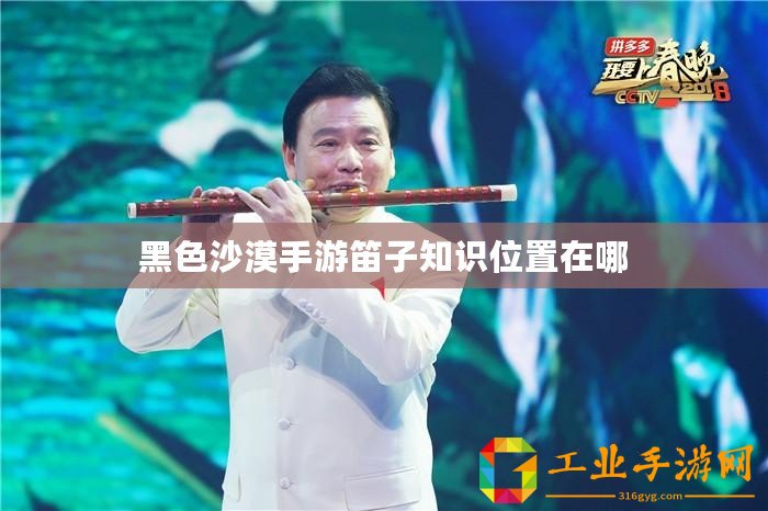 黑色沙漠手游笛子知識位置在哪