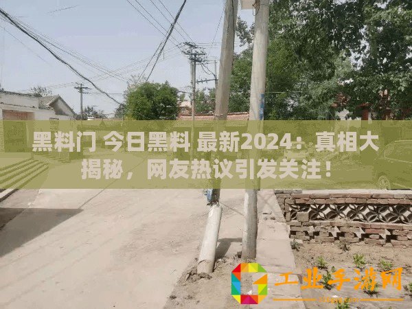 黑料門 今日黑料 最新2024：真相大揭秘，網友熱議引發關注！
