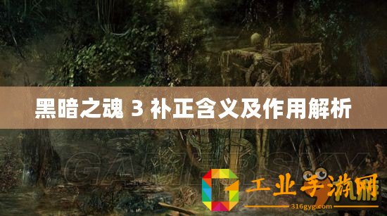 黑暗之魂 3 補正含義及作用解析