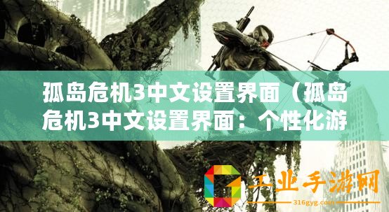孤島危機3中文設置界面（孤島危機3中文設置界面：個性化游戲選項與語言設定）