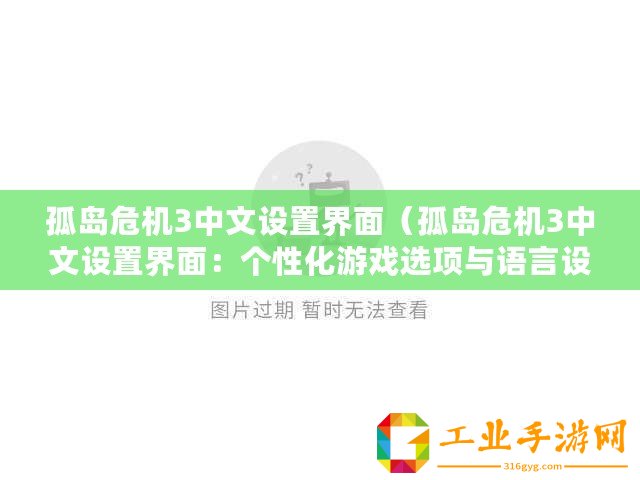 孤島危機3中文設置界面（孤島危機3中文設置界面：個性化游戲選項與語言設定）